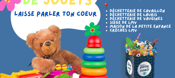 collecte_jouets_lmv