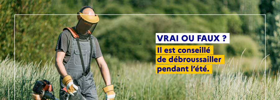 Avant l'été, pensez à débroussailler !