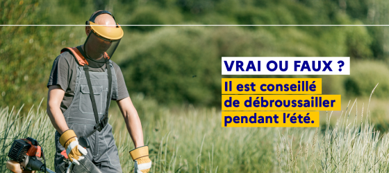 Avant l'été, pensez à débroussailler !